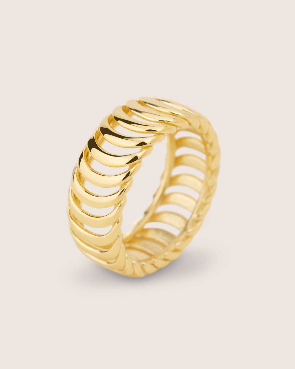 "anillo oro"